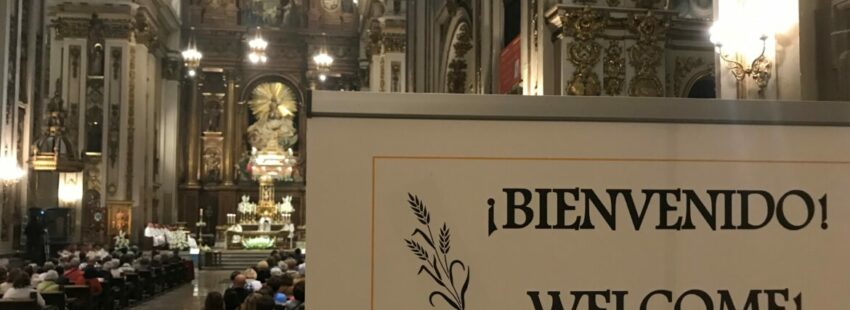 El cardenal Osoro, a los obispos españoles: “Eliminemos desesperanzas, envidias y celos”