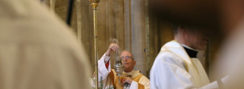 ¿Francisco se encontrará con las víctimas de abusos en Portugal durante la JMJ?