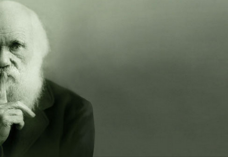 Darwin silencio