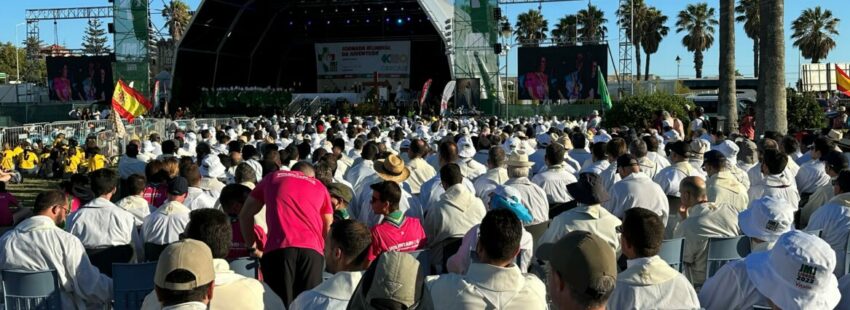 Omella, a los jóvenes españoles en la JMJ: “Que Lisboa sea el trampolín para los