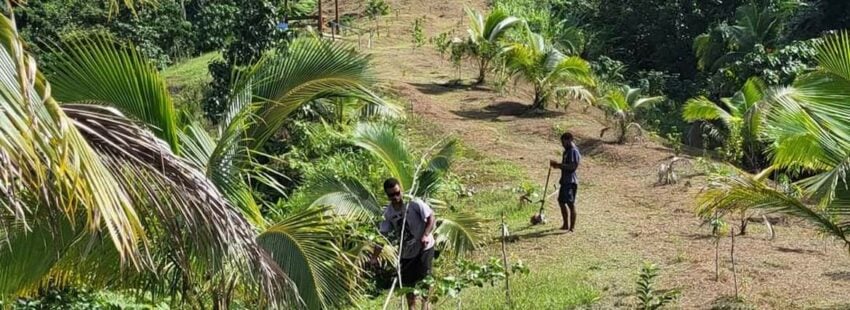 La Iglesia crea en Fiji un nuevo parque de biodiversidad para celebrar el Tiempo de la Creación