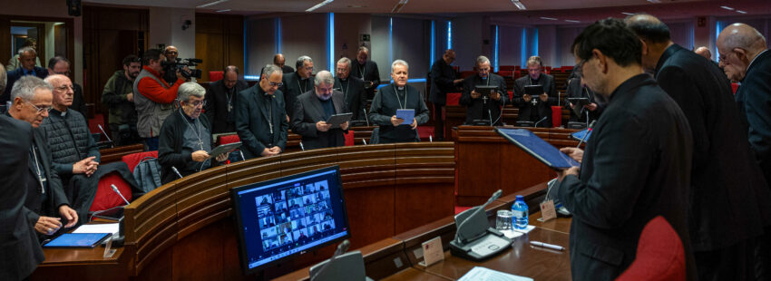 Plenaria extraordinaria abusos CEE