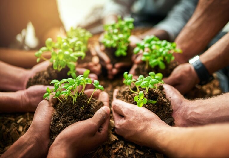 Líderes católicos de Colombia se preparan para recepcionar ‘Laudate deum’