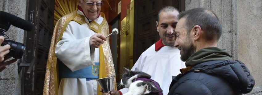 San Antón ya tiene preparados sus panecillos para este 17 de enero