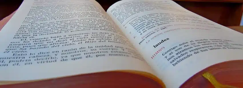 Cumbre sobre liturgia en el Vaticano… con la mirada puesta en los laicos