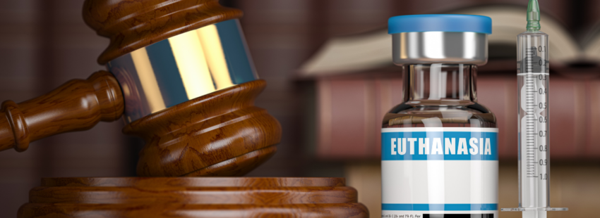 Obispos de Ecuador plantan cara contra la legalización de la eutanasia