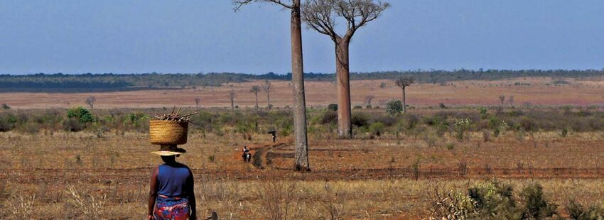 ¿Cómo vivir el día del Ayuno Voluntario de Manos Unidas?