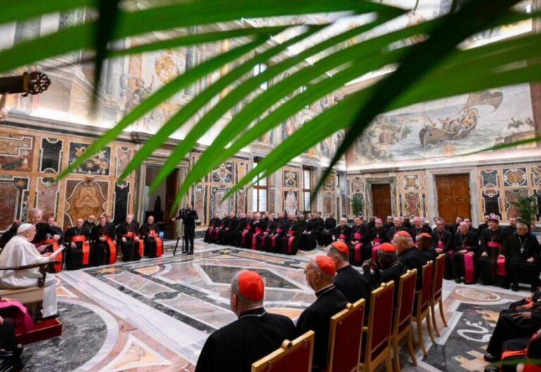 El Papa Francisco, en la Asamblea Plenaria del Dicasterio para el Culto Divino