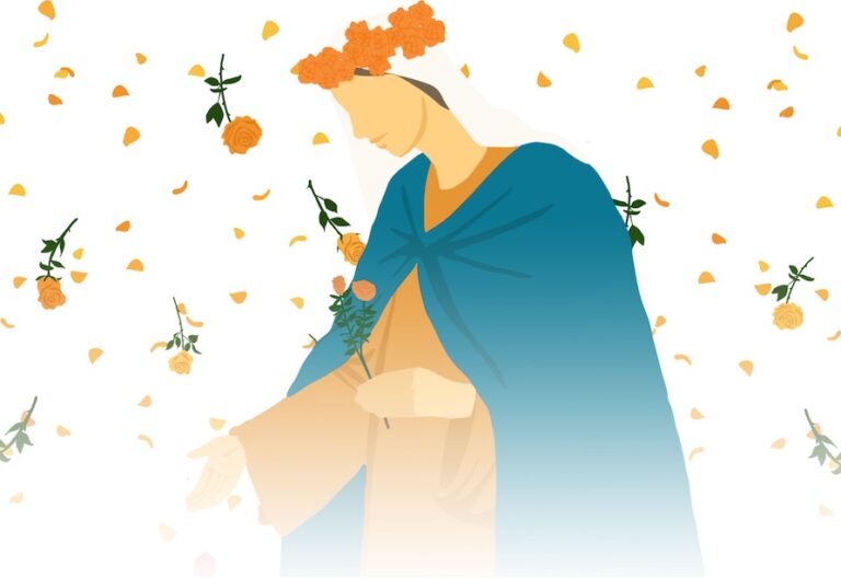 1 millón de rosas para María