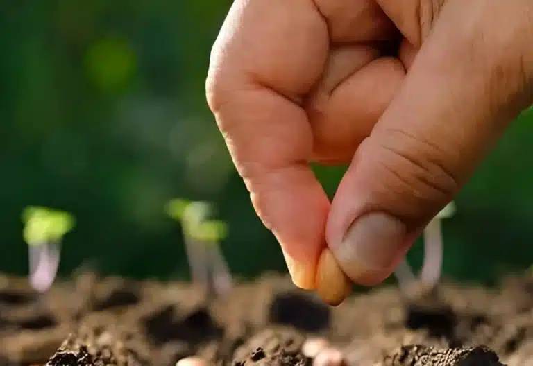 Argentina: nueva formación para quienes deseen ser catequistas