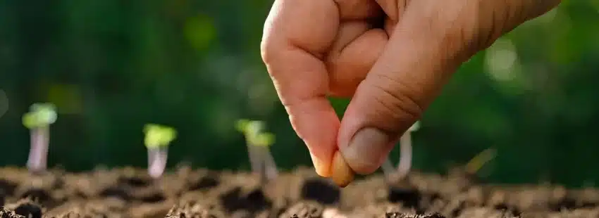 Argentina: nueva formación para quienes deseen ser catequistas