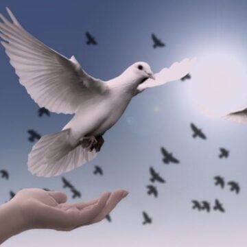 Saludo de fin de año del Episcopado argentino: “Aprendamos a desactivar la hostilidad mediante