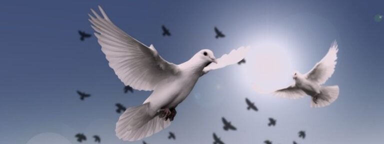 Saludo de fin de año del Episcopado argentino: “Aprendamos a desactivar la hostilidad mediante