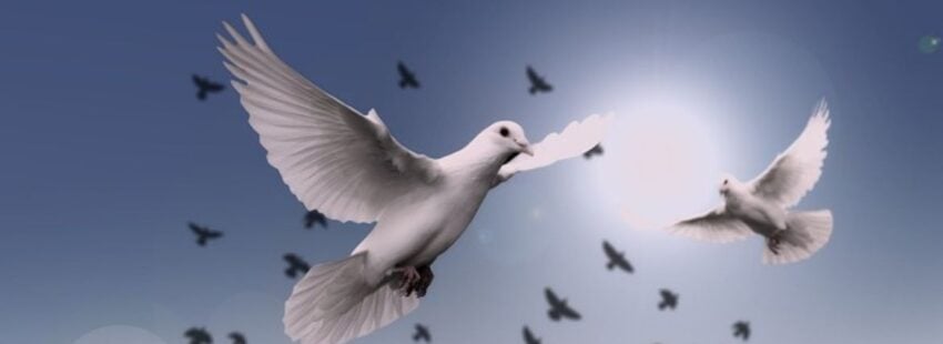 Saludo de fin de año del Episcopado argentino: “Aprendamos a desactivar la hostilidad mediante