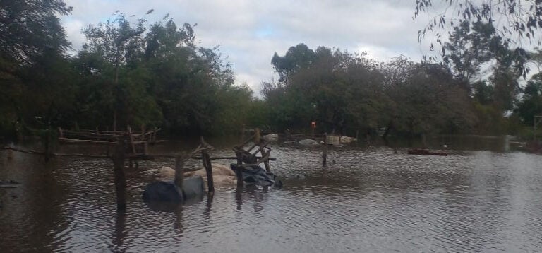 Argentina: Cáritas Concordia gestiona la ayuda para las familias inundadas