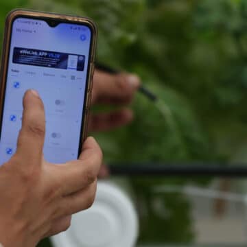 León XIV pide “desarmar la tecnología” y alerta sobre el uso militar de la Inteligencia