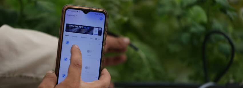 León XIV pide “desarmar la tecnología” y alerta sobre el uso militar de la Inteligencia