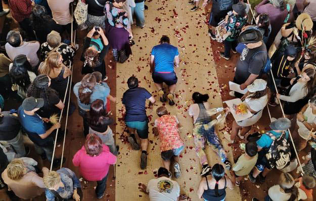 Fiesta Inmaculada Chile 2024