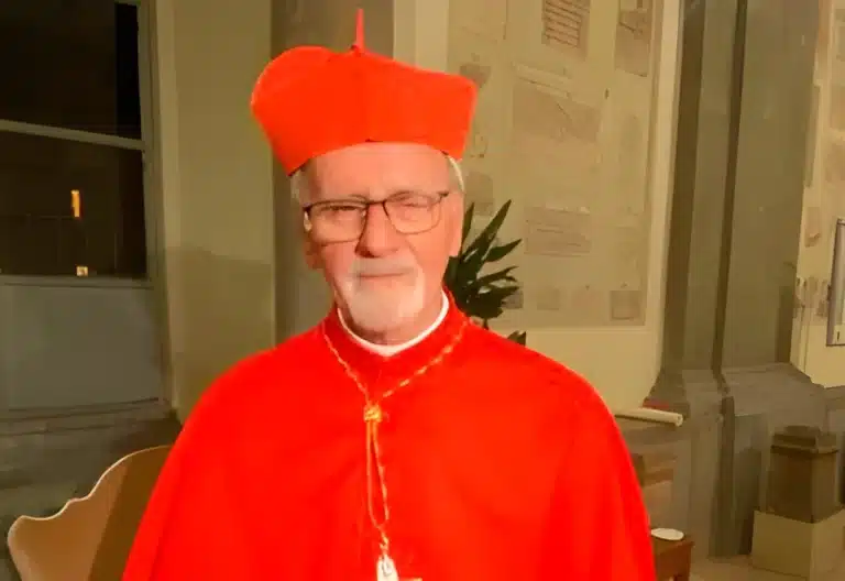 El nuevo cardenal argentino Vicente Bokalic pidió compromiso con la causa de los pobres