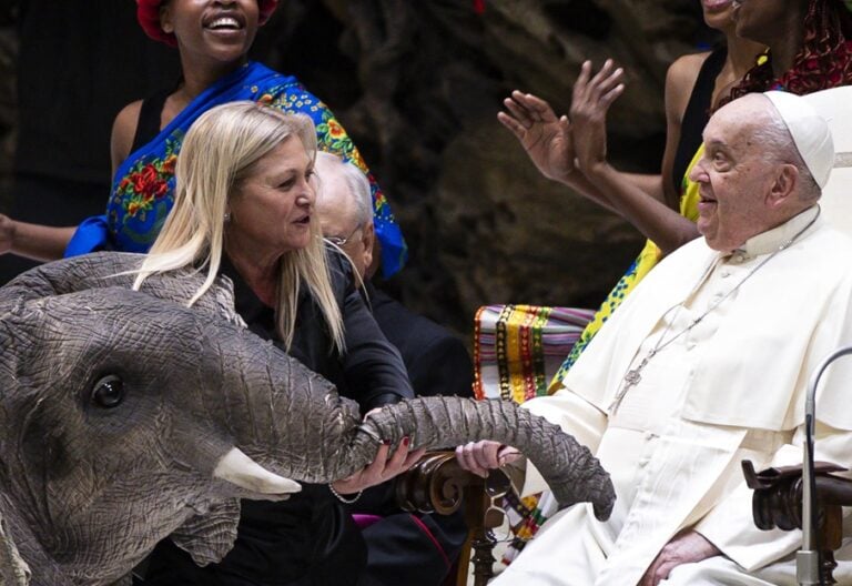 El Papa Francisco, durante la audiencia general del 8 de enero de 2025