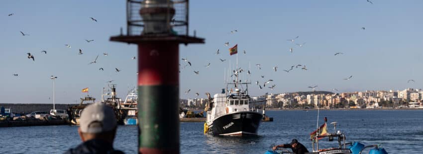 pescadores andaluces de la modalidad de arrastre