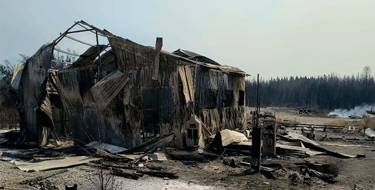 Los obispos de la Patagonia argentina, preocupados por los incendios en la región