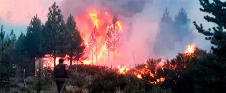 La Iglesia argentina pide la ayuda de toda la comunidad para afrontar los incendios en el sur del