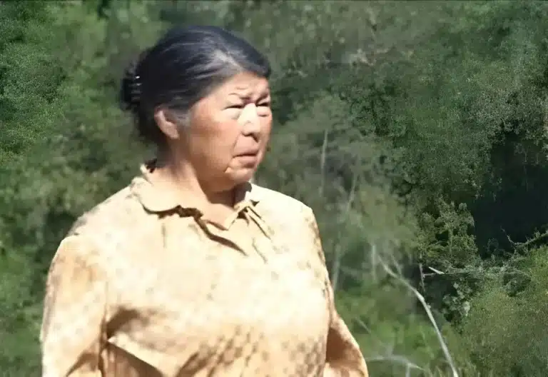 Se cumplen 100 días de la desaparición de una dirigente mapuche en Chile