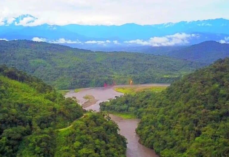 Plataforma Saber Repam