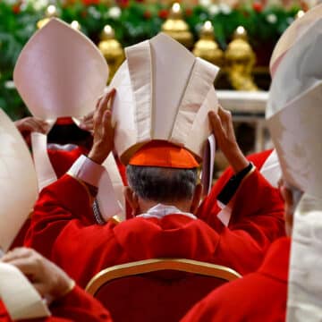 Cardenales en el quinoto día de Novemdiales