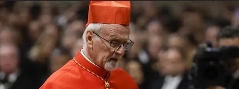 Cardenal Bokalic: “En el consistorio hemos afianzado el camino para ser una Iglesia abierta”