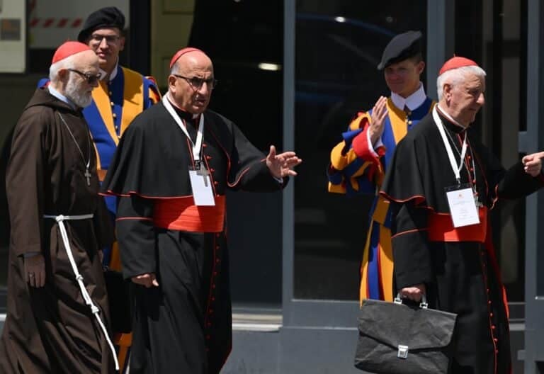 Un grupo de cardenales, tras las congregaciones generales de 2025