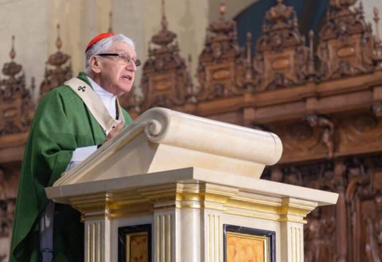 El cardenal Castillo desde Lima a Vox: “¿Sobran 8 millones de migrantes o sobran dirigentes que