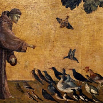 Francisco de Asís predicando a los pajarillos (Giotto)