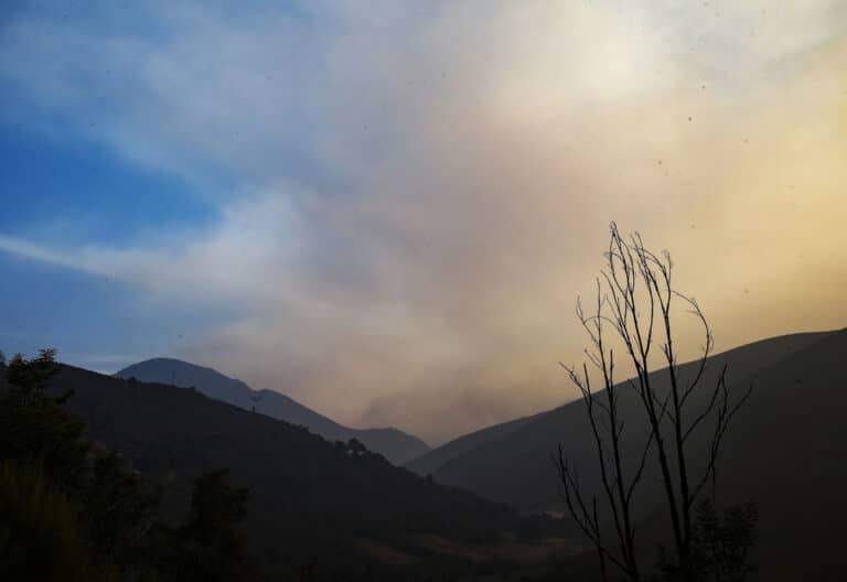 La diócesis de León, ante los incendios, apuesta por “un modo de vida que respete la creación
