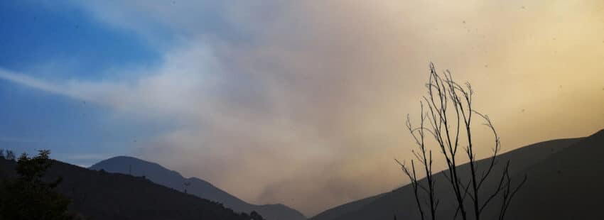 La diócesis de León, ante los incendios, apuesta por “un modo de vida que respete la creación