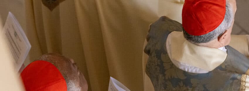 Comienzan las ‘primarias’ de los obispos estadounidenses: estos son los 10 candidatos a