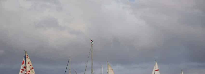 El cardenal Zuppi, ante la llegada de la Flotilla a Gaza: “Respeto a la dignidad de las personas