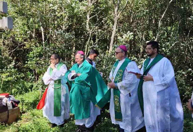 Comunión y fraternidad en el Cono Sur
