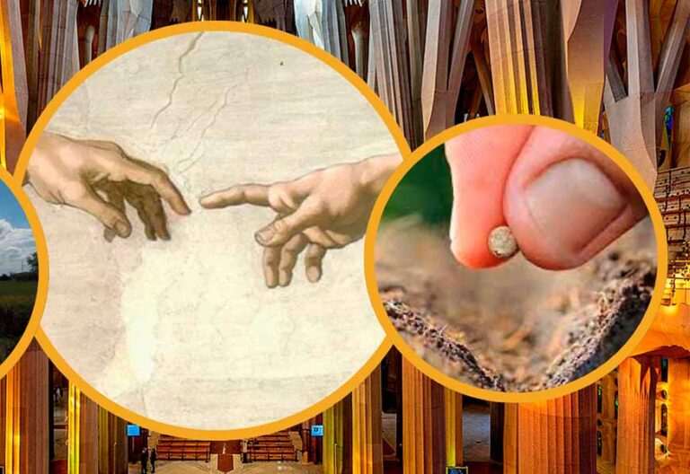 Haciendo eco… con la fe