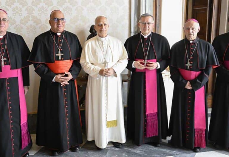 El papa León XIV recibió a los obispos del Comité Permanente chileno