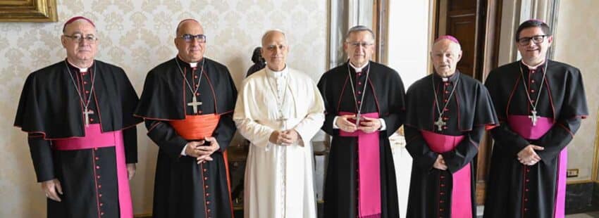 El papa León XIV recibió a los obispos del Comité Permanente chileno