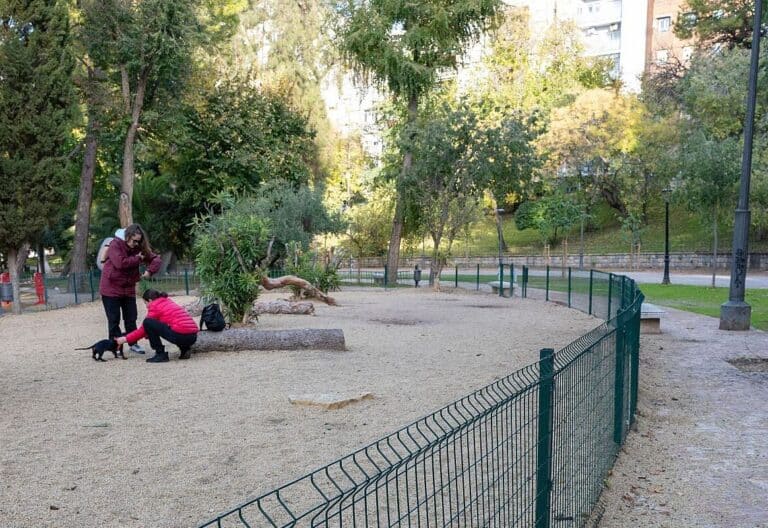 El obispo de Jaén llama a “cuidar y escuchar a los más jóvenes” tras el suicidio de dos