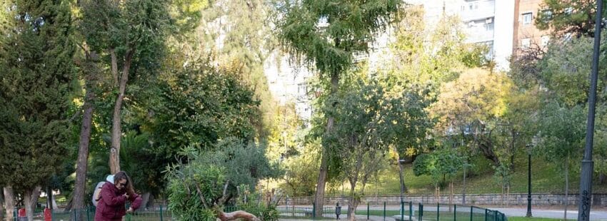 El obispo de Jaén llama a “cuidar y escuchar a los más jóvenes” tras el suicidio de dos