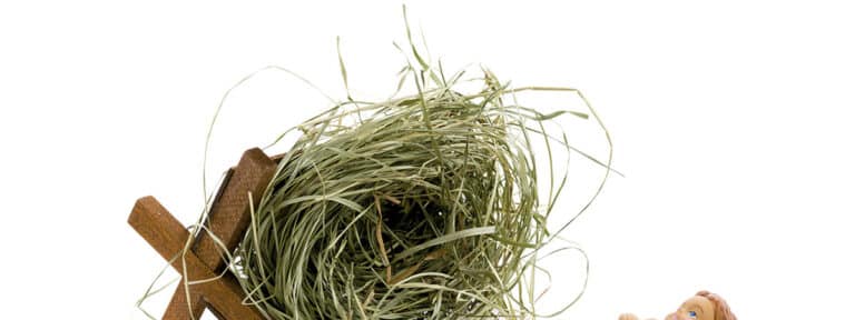 Navidad. Simbólica.