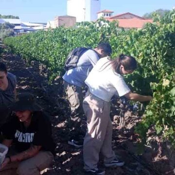 La Facultad Don Bosco, la institución educativa más premiada de Latinoamérica
