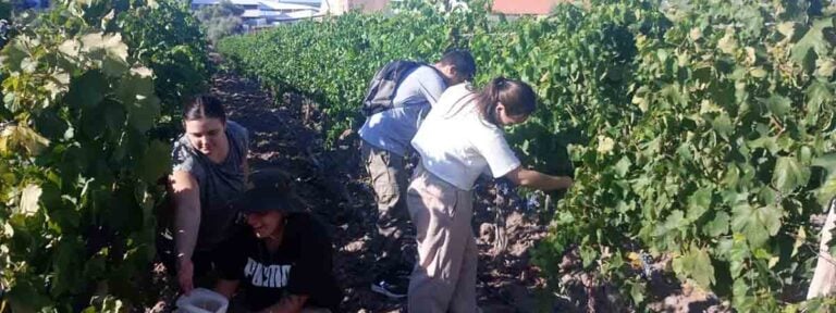 La Facultad Don Bosco, la institución educativa más premiada de Latinoamérica