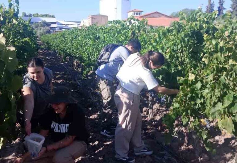 La Facultad Don Bosco, la institución educativa más premiada de Latinoamérica