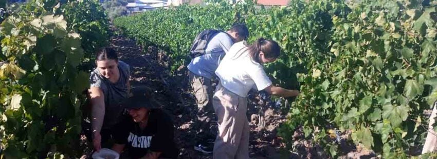 La Facultad Don Bosco, la institución educativa más premiada de Latinoamérica