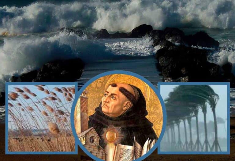 Dialogando… con la flexibilidad